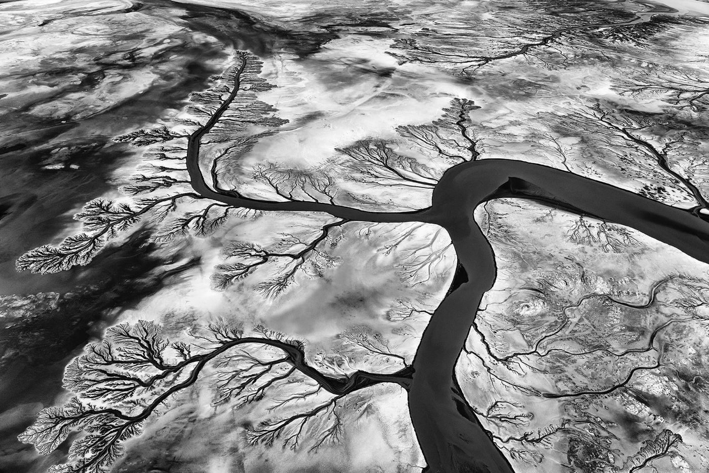 Aerial view of a branching river delta, for the AI and technology practice
